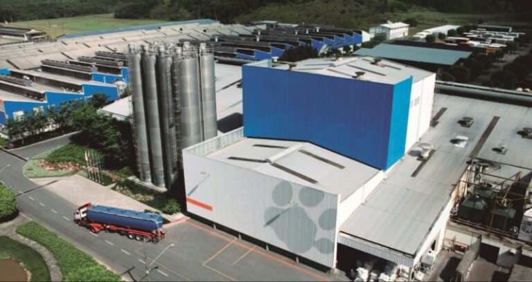 Tigre, CBMM e Randstad